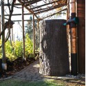 Regenton The Little Tree 250 Liter