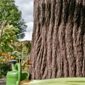Regenton Evergreen 475 Liter